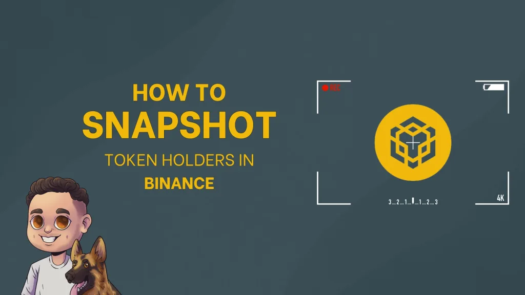 How to Snapshot token holders in Binance in 1 minute