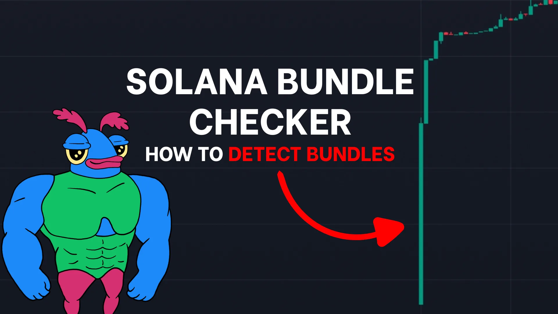 Solana Bundle Checker
